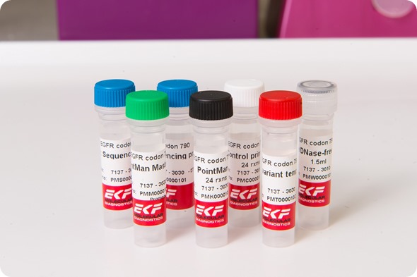 1516EKF Pointman EGFR