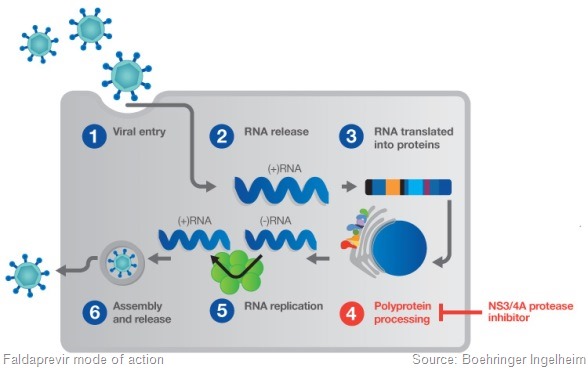 1_protease