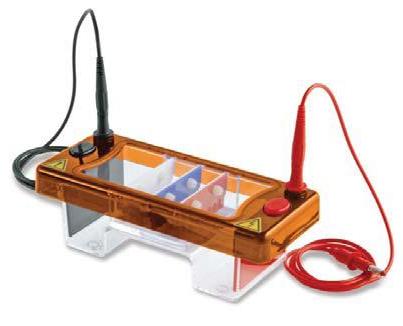 Clarit-E Horizontal Gel Systems from Alphalabs