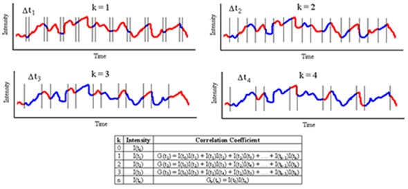 Schematic detailing measurement and construction of the DLS correlogram.