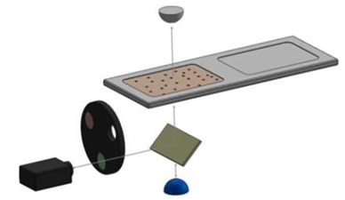 Schematic of optical module of Luna-FL