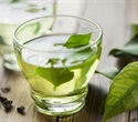 Green tea extract reduces weight and improves glucose control in obese mice