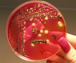 New data on natural probiotic bacterial strain of Bifantis shows anti-inflammatory properties