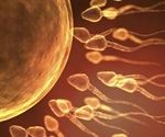 Micro-RNA in sperm proves vital for human embryogenesis