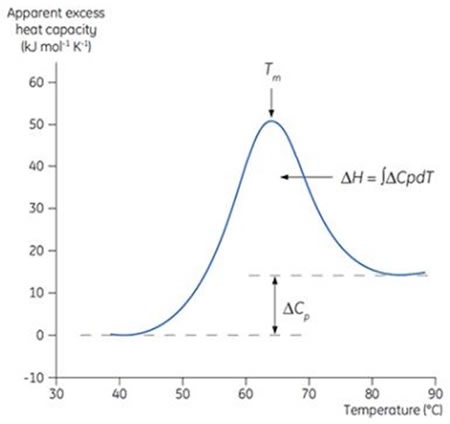 Typical DSC thermogram. This DSC scan was carried out on a dilute protein solution, where the protein undergoes a transition from a compact, native state at low temperature to an unfolded, denatured state at high temperature. The apparent excess heat capacity of the protein was measured, based on the difference in the heat capacity of the protein in buffer, and buffer alone.