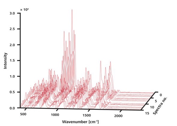 The 15 Raman spectra shown here were recorded at random locations on a single sample without ORS. Although peaks are observed at the same positions, intensities vary.