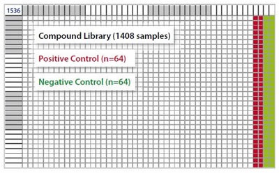 1536-well microplate layout