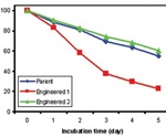 Advantages of Using DSC for Stability Screening of Engineered Proteins