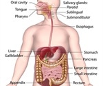 Causes of Bleeding in the Upper and Lower Gastrointestinal Tract