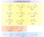 Amino Acid Biosynthesis