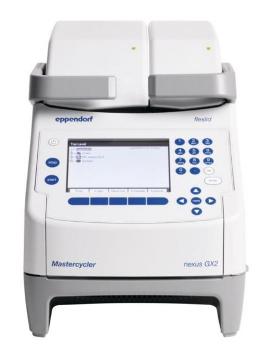Mastercycler® Nexus X2 from Eppendorf