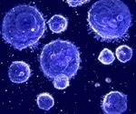 Means to target all tumor cells with one treatment uncovered