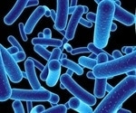 Marine bacterium shows powerful therapeutic effects against colorectal cancer