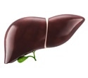 Nanoparticles offer new hope for treating alcohol-related liver disease