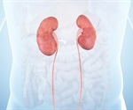 Trial evaluates a traditional Chinese herbal formula for diabetic kidney disease with macroalbuminuria