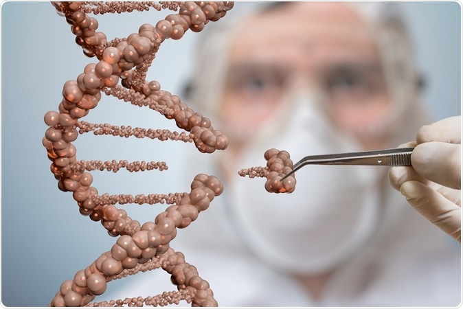 Image Credit: Vchal / Shutterstock