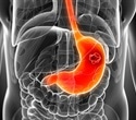 Natural compounds from Brazilian plants show promise against stomach cancer