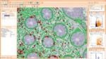 HistoQuest Image Analysis Software from TissueGnostics