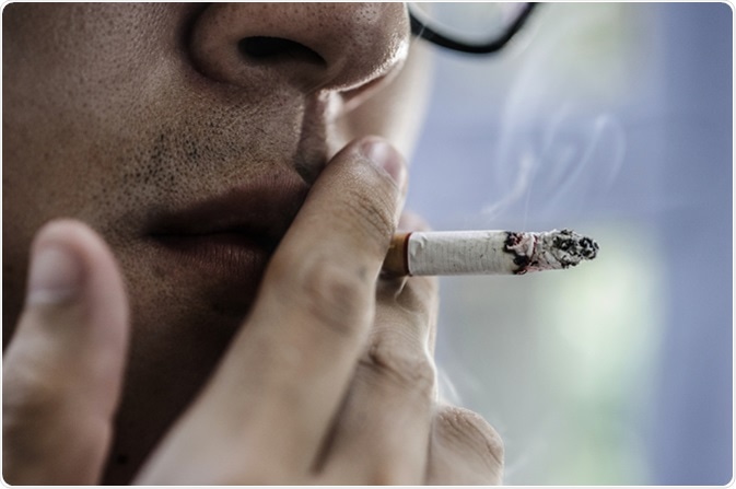 Image Credit: Preeda2531 / Shutterstock