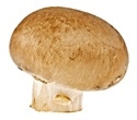 Research reveals undisclosed active ingredients in retail mushroom products