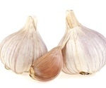 Yogurt may help eliminate garlic odors