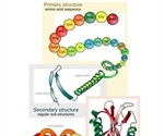 Protein Folding