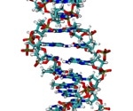 What is the Genetic Code?