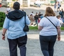 New medical database enhances obesity research and treatment