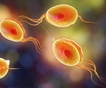 Sexually transmitted infections pose new threat to aging adults