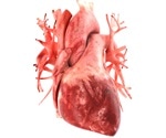 Imaging-enhanced knowledge graphs reveal new targets for heart disease treatment