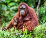 Diagnosis of rare inherited metabolic condition in a Sumatran orangutan