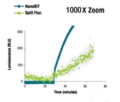 NanoBiT® Luminescence at 1000X Zoom