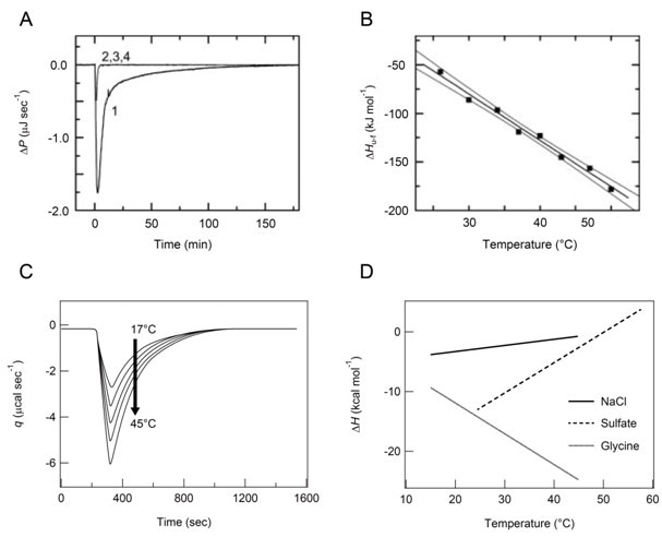 Observation of heat and temperature-dependent ΔH for the growth of amyloid fibrils using ITC. Pane A: ITC thermograms recorded by the injection of seeds at a final concentration of 15 μg mL-1 in the ITC syringe to a solution of β2m monomers at 0.1 mg mL-1 in the ITC cell at 37 °C (line 1). Overlapping thin lines indicate a series of reference measurements as buffer to buffer (line 2), buffer to monomer (line 3), and seed to buffer solution (line 4) [41]. Pane B: Each ΔH (black sphere) of the β2m fibril extension was plotted as a function of temperature. The black line indicates the best fit curve with a straight line [41]. Pane C: A schematic representation of ITC thermograms of the growth of glucagon amyloid fibrils in sulfate buffer containing 10 mM HCl and 1 mM Na2SO4, obtained by increasing temperatures from 17 °C to 45 °C (see Figure 1A of Jeppesen et al. [42] for more details). Pane D: Temperature dependence of ΔH measured in the three distinct buffers (5 mM HCl solution containing 150 mM NaCl (solid line), 50 mM glycine buffer (pH 2.5) containing 1 mM sulfate (broken line), and 50 mM glycine buffer (pH 2.5) (dotted line)) are schematically shown (see Figure 1B of Jeppesen et al. [42] for more details).