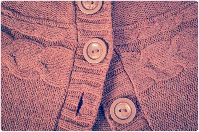 Image Credit: Verkhozina Ekaterina / Shutterstock