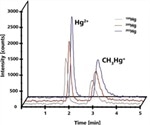 Detection of Mercury and Methylmercury Using IC-ICP/MS Method