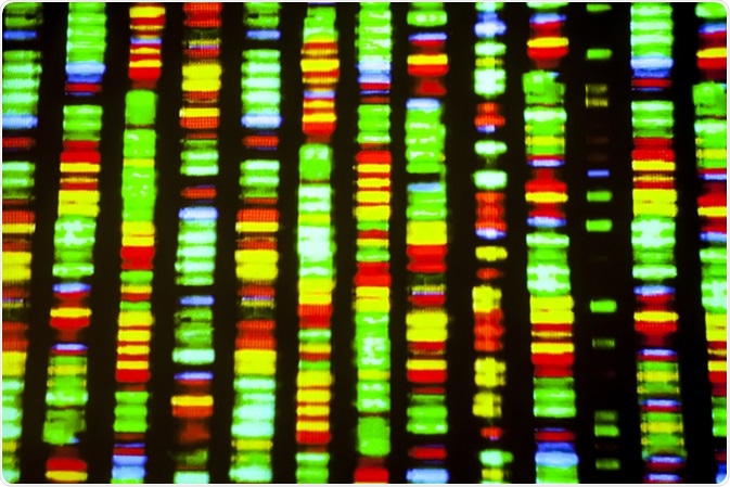 DNA sequence. Image Credit: Gio.tto / Shutterstock