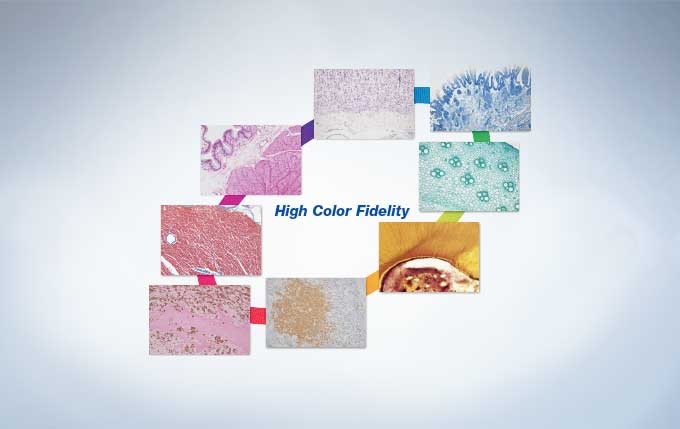 High Color Fidelity for Most Stains Used in the Life Sciences