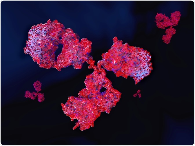 Antibodies - By Juan Gaertner