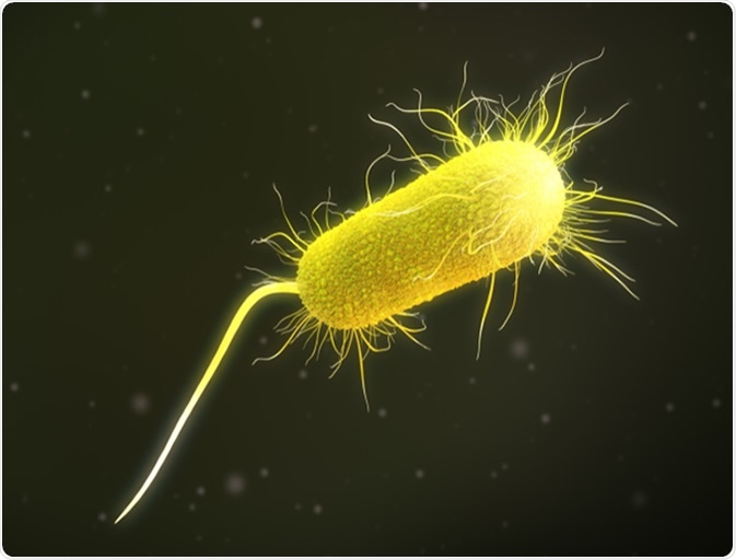 3D illustration of a pseudomonas aeruginosa bacteria. Image Credit: Supergalactic / Shutterstock