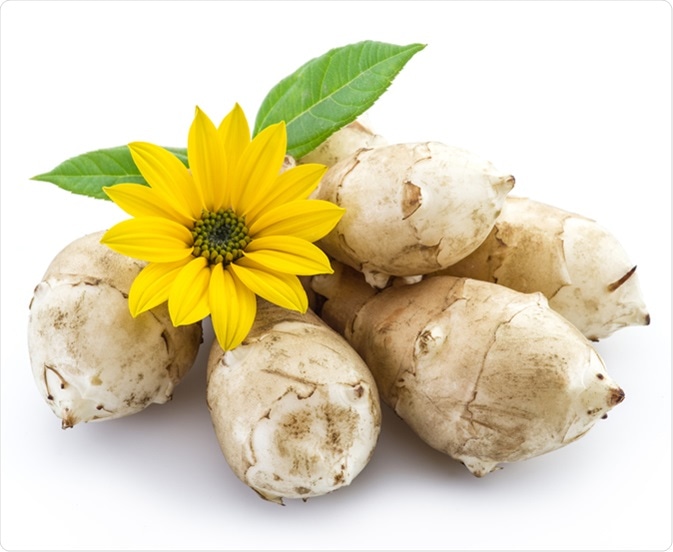 Jerusalem artichoke. Image Credit: Valentyn Volkov / Shutterstock