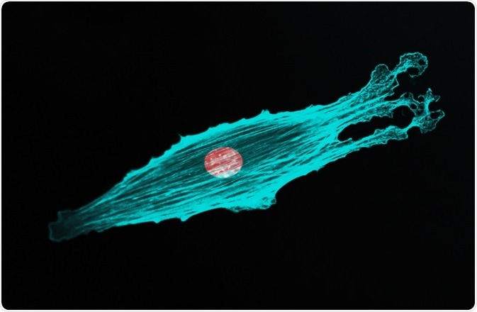 Fluorescent cell - By DrimaFilm