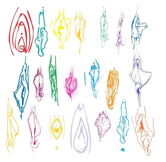 Image Credit: https://www.brook.org.uk/data/So_what_is_a_vulva_anyway_final_booklet.pdf