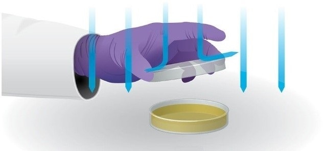 Biological safety cabinet petri dishes