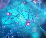 Experts develop biology-based research framework for Alzheimer’s