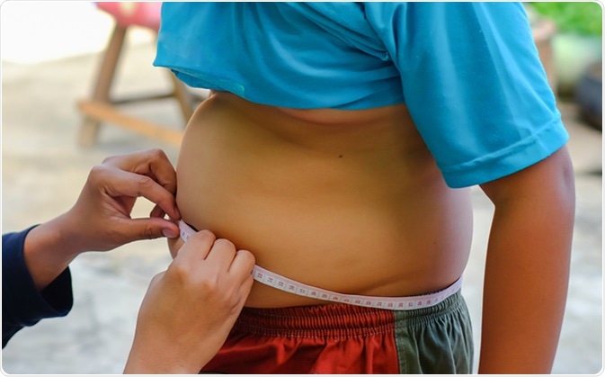 Image Credit: Chanchai Plongern / Shutterstock