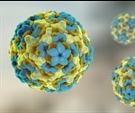 Enterovirus 71 Structure