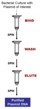 BAC DNA MiniPrep Kit from Bio-Synthesis