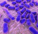 Global antibiotic resistance reaches alarming levels in 2023