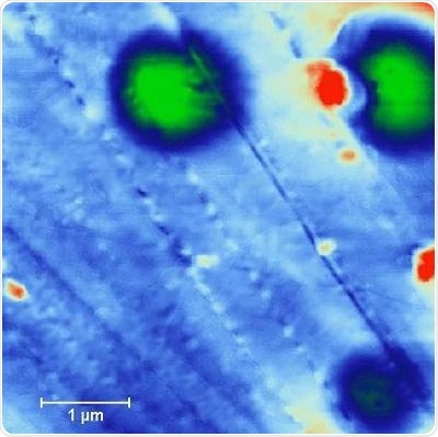 Topographic Image of Coated Tube