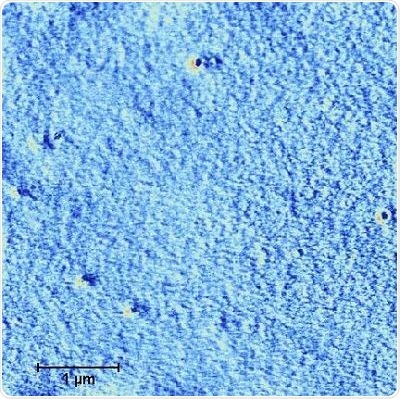 Phase image, tubing after being moistened